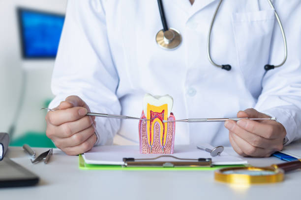 Best Emergency Root Canal Treatment in Tobaccoville, NC